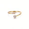 Anillo de Acero Ajustable con Zirconias en Duo