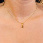Combo - Collar de Titanio con Dije de Inicial Bubble