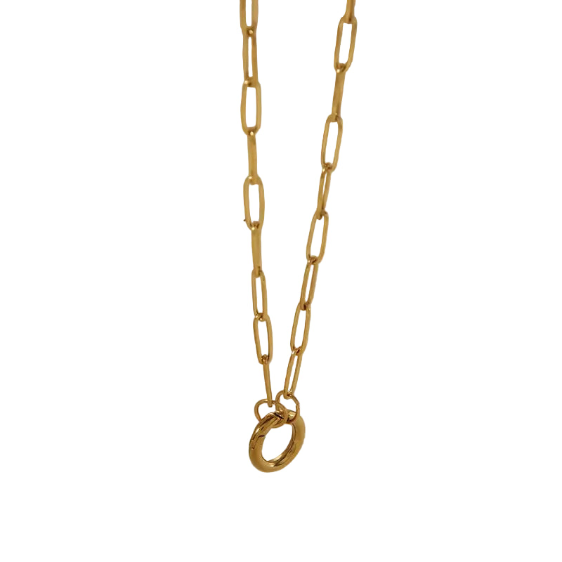 Collar de Acero con Broche