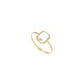 Anillo de Acero Rectangular