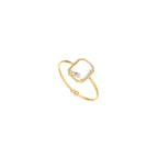 Anillo de Acero Rectangular