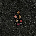 Case de Animal Cartoon