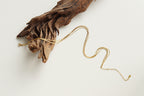 Collar de Capas Liso