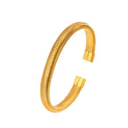 Brazalete de Titanio