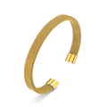 Brazalete de Titanio
